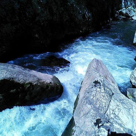 Odmaraliste Vlasko Zdrelo Pirot Szoba fotó