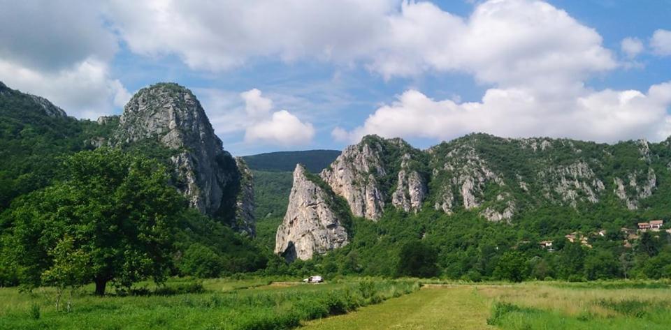 Odmaraliste Vlasko Zdrelo Pirot Kültér fotó
