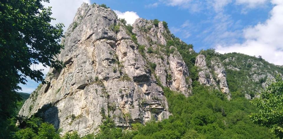 Odmaraliste Vlasko Zdrelo Pirot Kültér fotó