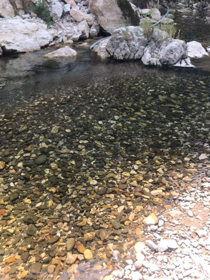 Odmaraliste Vlasko Zdrelo Pirot Kültér fotó