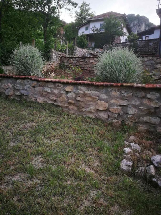 Odmaraliste Vlasko Zdrelo Pirot Kültér fotó